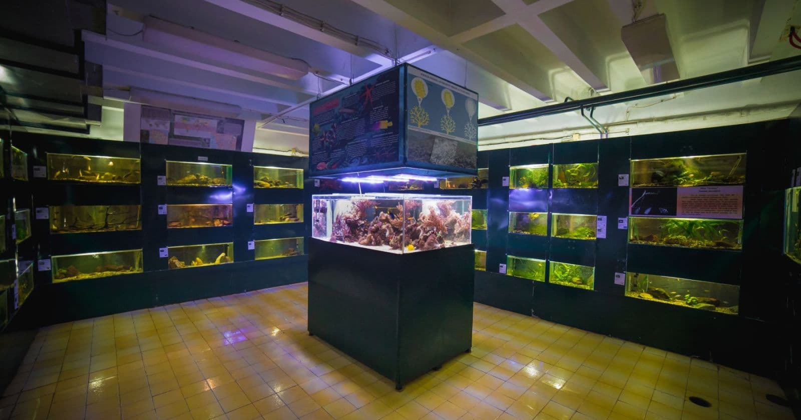 Aquarium Kragujevac